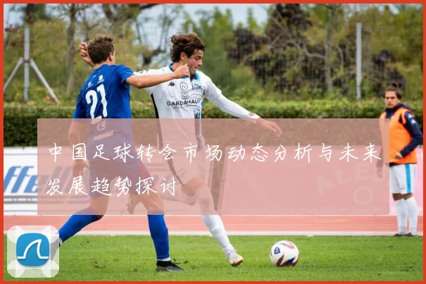 中国足球转会市场动态分析与未来发展趋势探讨