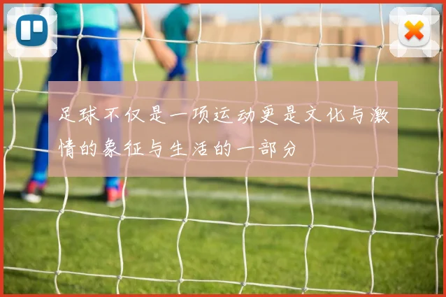 足球不仅是一项运动更是文化与激情的象征与生活的一部分