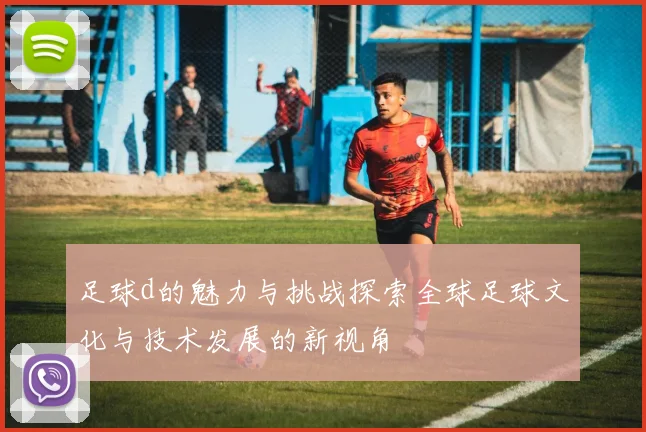 足球d的魅力与挑战探索全球足球文化与技术发展的新视角