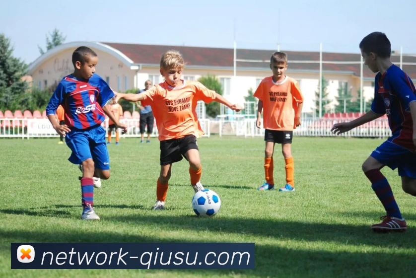 App Interface Preview